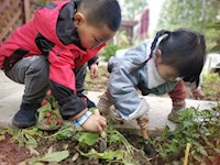 谷雨时节 抓住春天的小尾巴 ——华美路幼儿园谷雨节气活动